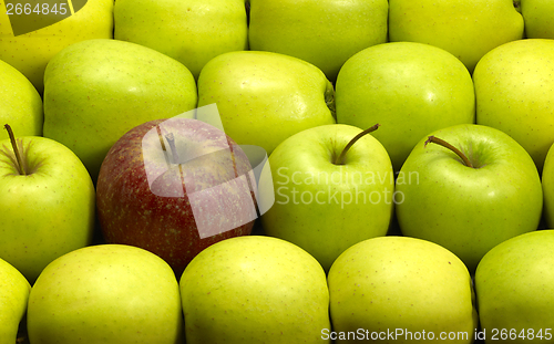Image of lots of apples