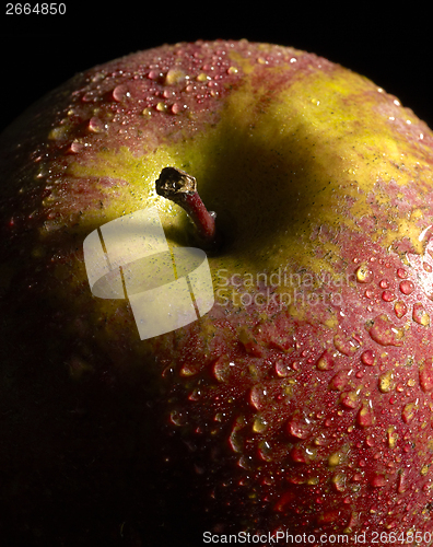 Image of wet red apple detail