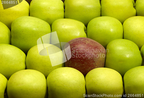 Image of lots of fresh apples