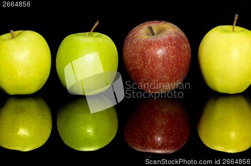 Image of apples in a row