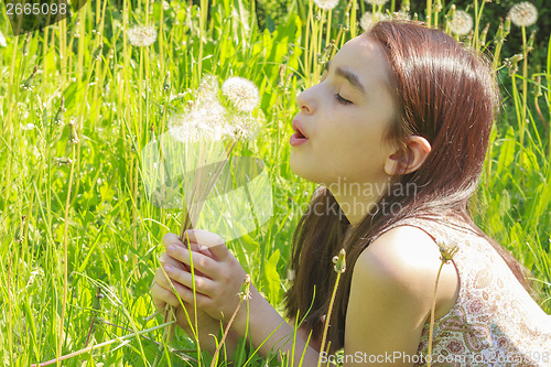 Image of Little Girl Busy Blowing Dandelion Seeds In the Park