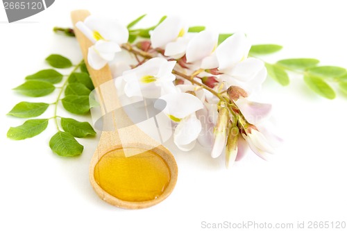 Image of Honey in spoon with acacia flower