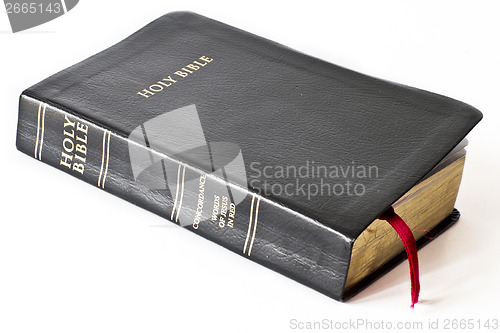 Image of Holy Bible