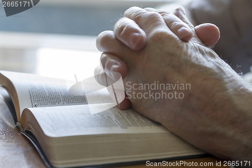 Image of Praying Old Hands