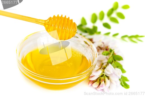 Image of Honey in bowl and acacia flower 