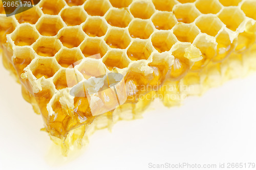 Image of Honeycomb