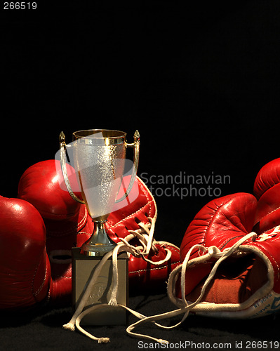 Image of boxing gloves and a golden cup