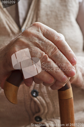 Image of Hand of a senior man with a  cane