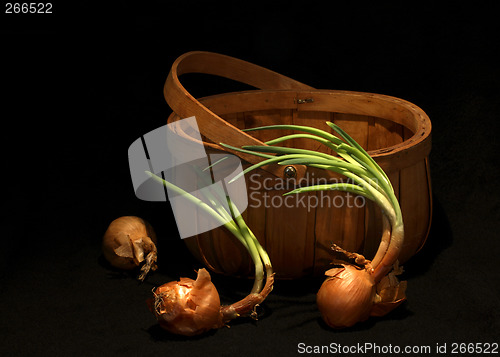 Image of three onions and a basket