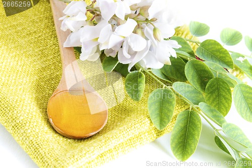 Image of Acacia honey in spoon