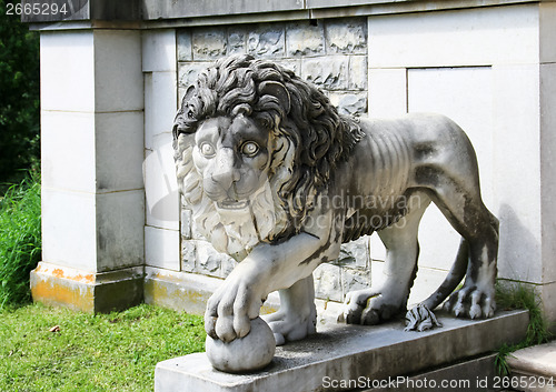 Image of lion statue