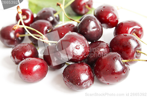 Image of Cherry