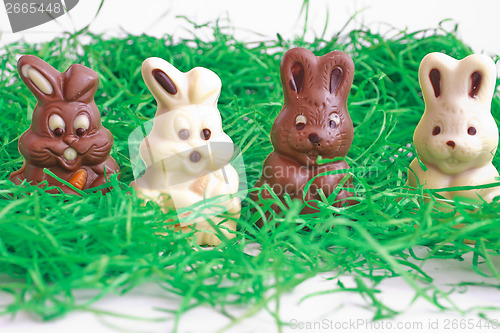 Image of black and white easter bunnies