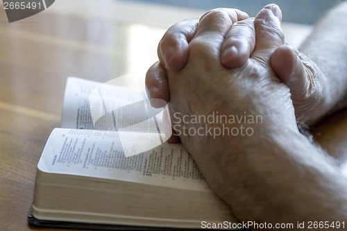 Image of Praying Old Hands