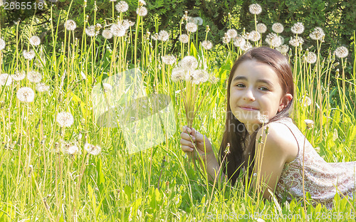 Image of Little Girl Busy Blowing Dandelion Seeds In the Park