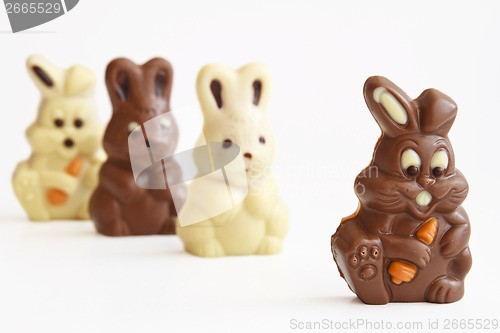 Image of black and white easter bunnies