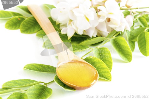 Image of Honey in spoon with acacia flower and leaves