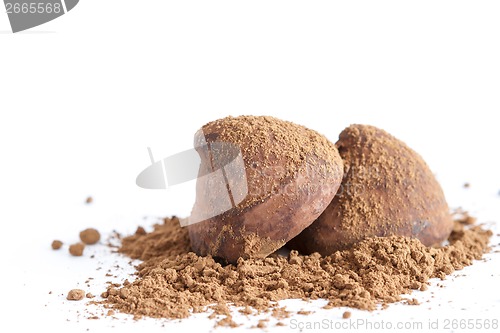 Image of Chocolate truffles on cocoa powder