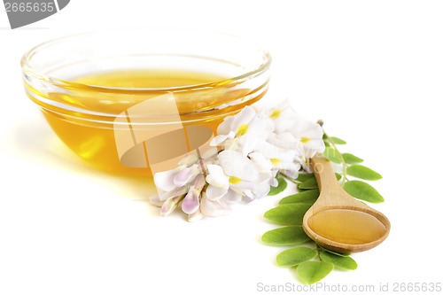 Image of  Honey in spoon with acacia and glass bowl