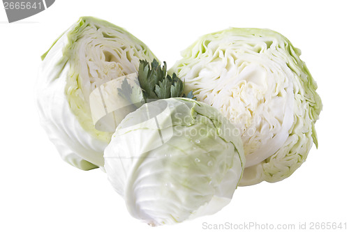 Image of Cabbage