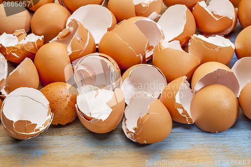 Image of broken chicken eggshells