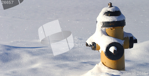 Image of fire hydrant in snow