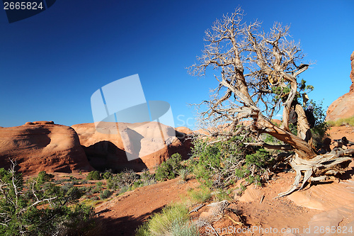 Image of Utah landscape