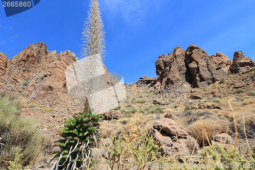 Image of Tenerife - Roques de Garcia