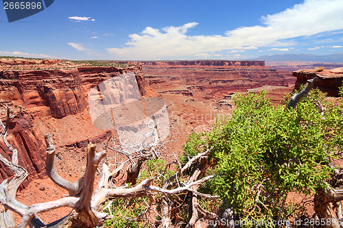 Image of Canyonlands National Park