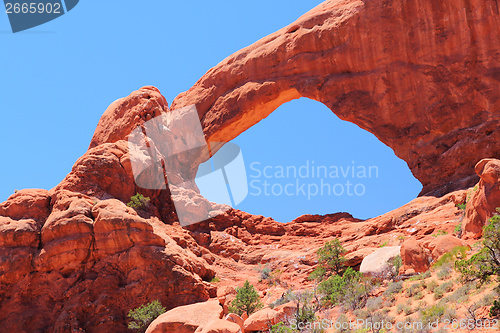 Image of Arches National Park