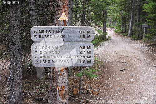 Image of Trails in Rocky Mountains