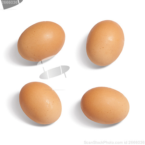 Image of Eggs Isolated on white background