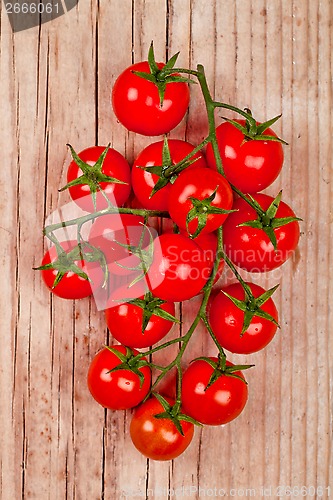 Image of fresh cherry tomatoes 