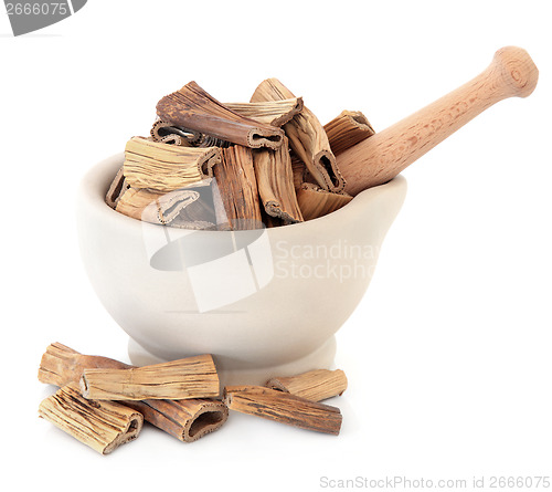 Image of Reed Root