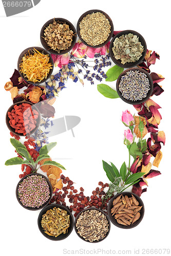 Image of Natural Herbal Medicine