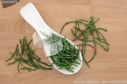 Image of Samphire