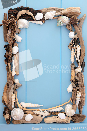Image of Seashells and Driftwood