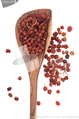 Image of Mountain Ash Berries