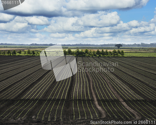 Image of Freshly Sown Fields 