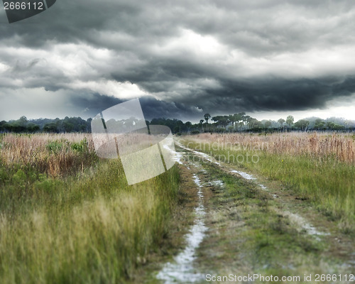 Image of Stormy Weather