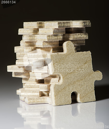 Image of Wooden puzzle on white background. 