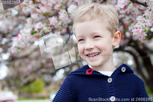 Image of spring time