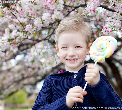 Image of spring time