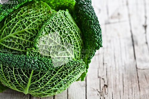 Image of fresh savoy cabbage closeup