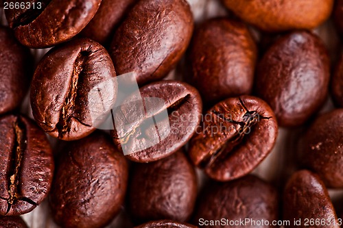 Image of coffee beans