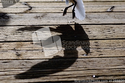 Image of In for landing, or taking off?