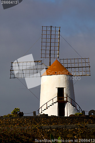 Image of cactus windmills in  isle of lanzarote  