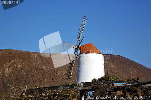 Image of cactus windmills in  isle of lanzarote spain   and sky 