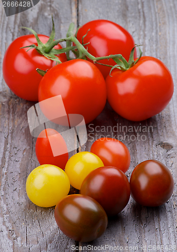 Image of Various Tomatoes