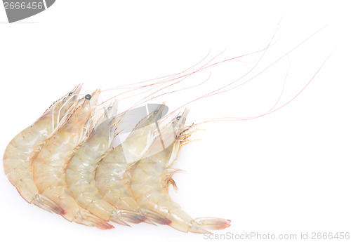 Image of raw shrimps